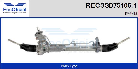 RECSSB75106.1
