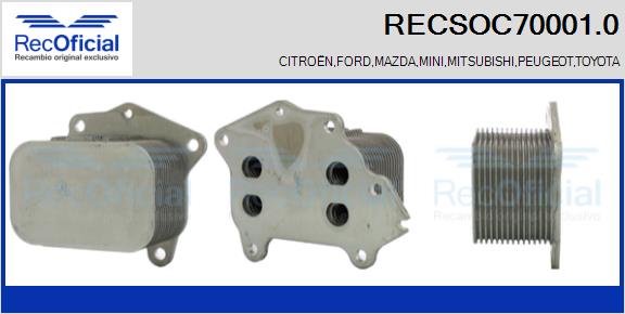 RECSOC70001.0