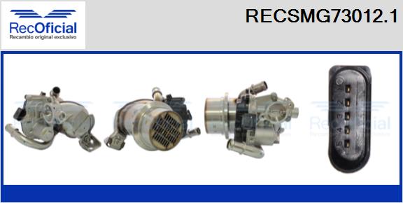 RECSMG73012.1