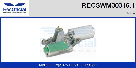 RECSWM30316.1