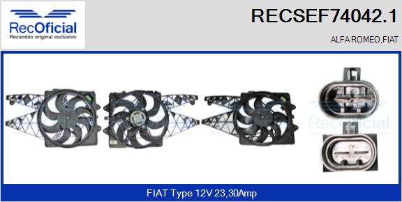 RECSEF74042.1