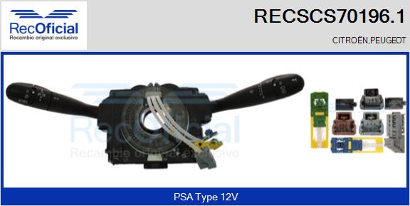 RECSCS70196.1