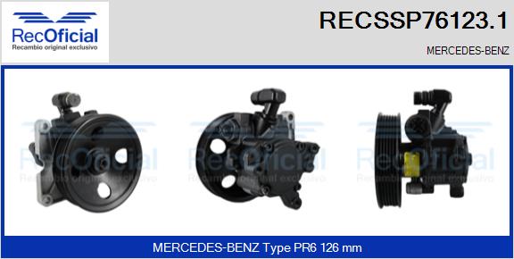 RECSSP76123.1