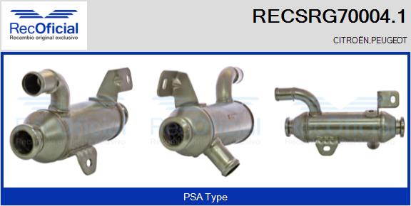 RECSRG70004.1