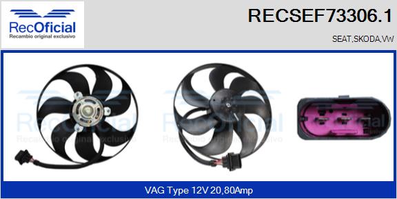 RECSEF73306.1
