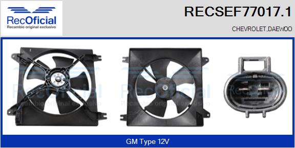 RECSEF77017.1