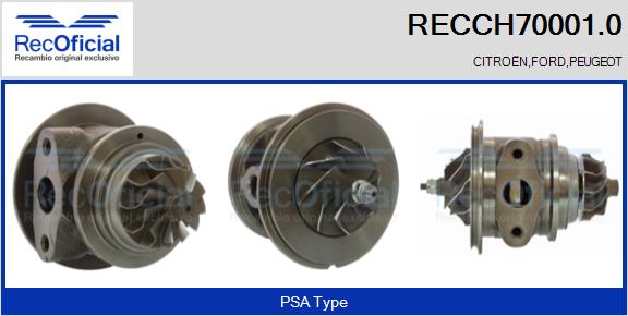 RECCH70001.0