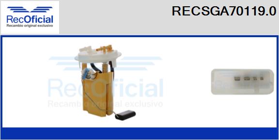 RECSGA70119.0