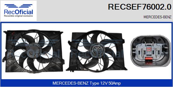 RECSEF76002.0