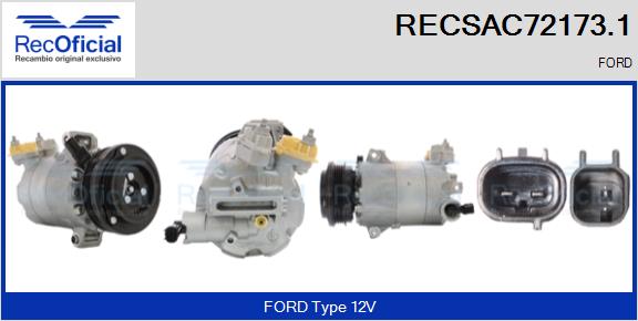 RECSAC72173.1