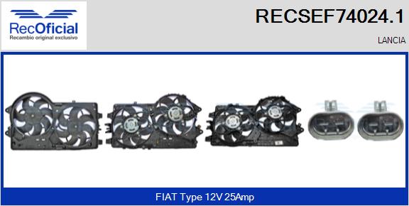 RECSEF74024.1