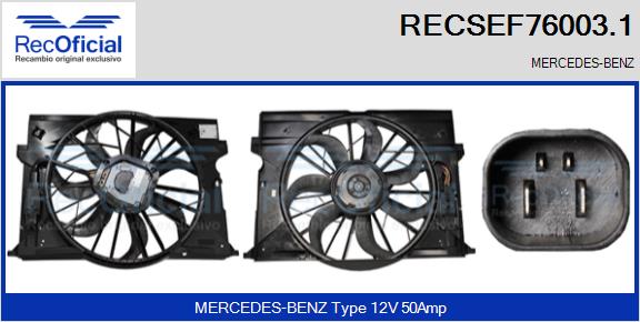 RECSEF76003.1