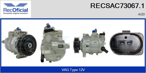 RECSAC73067.1