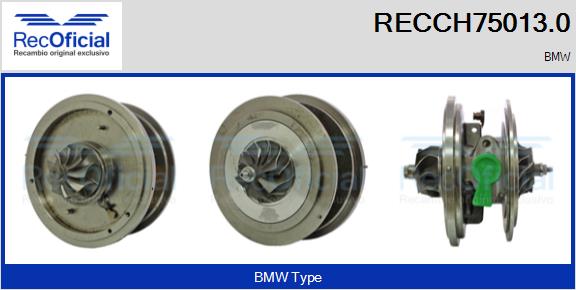 RECCH75013.0