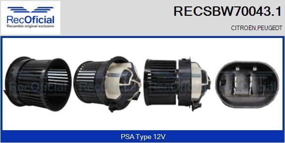 RECSBW70043.1