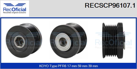 RECSCP96107.1