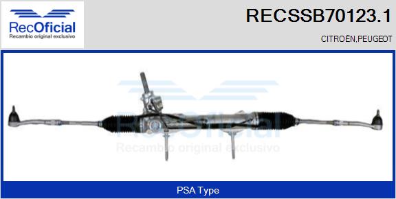 RECSSB70123.1