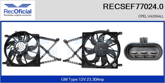 RECSEF77024.0