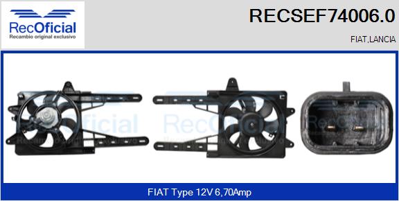 RECSEF74006.0