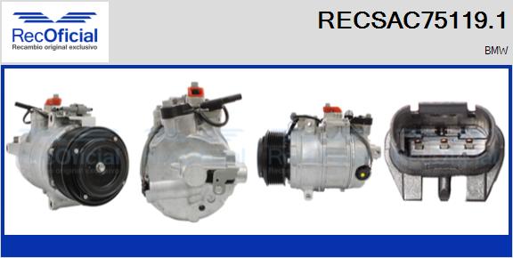 RECSAC75119.1