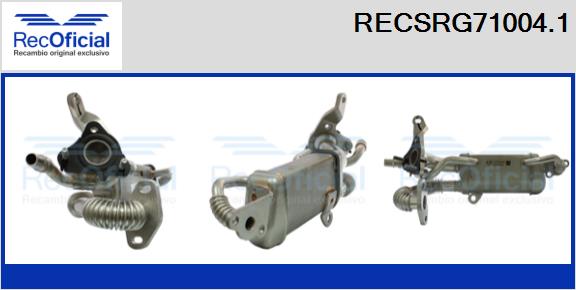 RECSRG71004.1