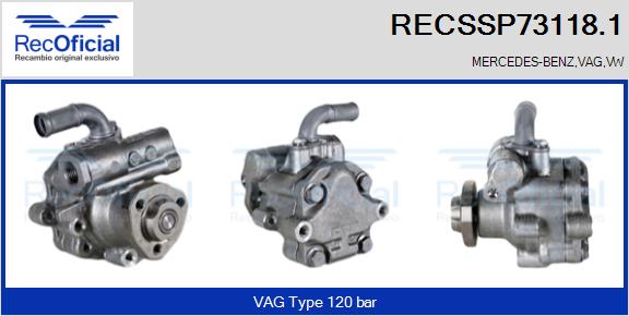 RECSSP73118.1