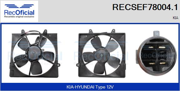 RECSEF78004.1