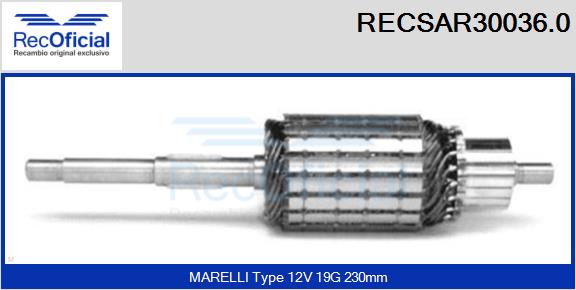 RECSAR30036.0