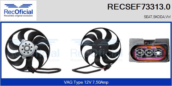 RECSEF73313.0