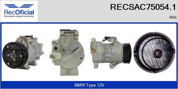 RECSAC75054.1