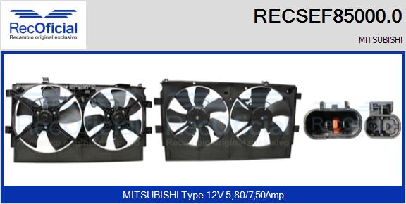 RECSEF85000.0