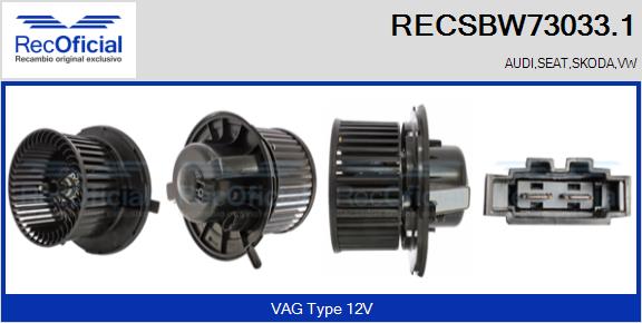 RECSBW73033.1