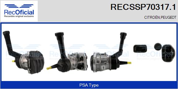 RECSSP70317.1