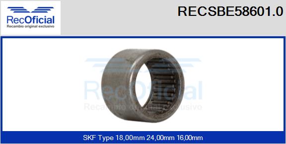 RECSBE58601.0