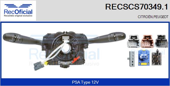 RECSCS70349.1