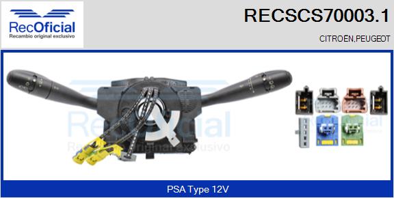 RECSCS70003.1