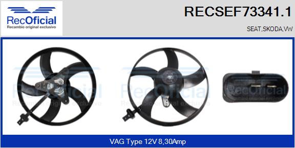 RECSEF73341.1