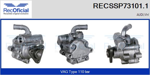 RECSSP73101.1
