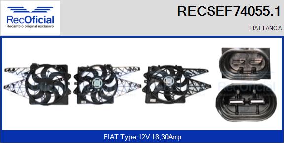 RECSEF74055.1
