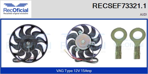 RECSEF73321.1