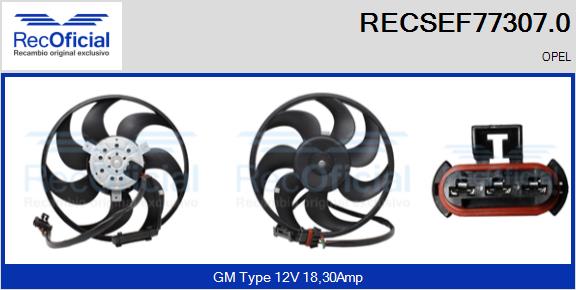 RECSEF77307.0