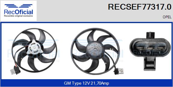 RECSEF77317.0
