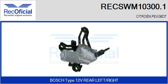 RECSWM10300.1