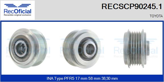 RECSCP90245.1