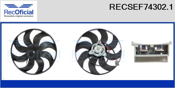RECSEF74302.1