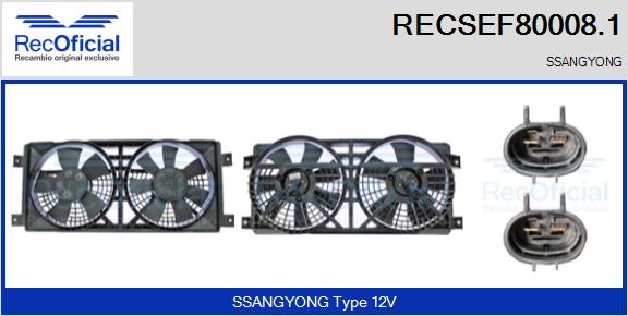 RECSEF80008.1