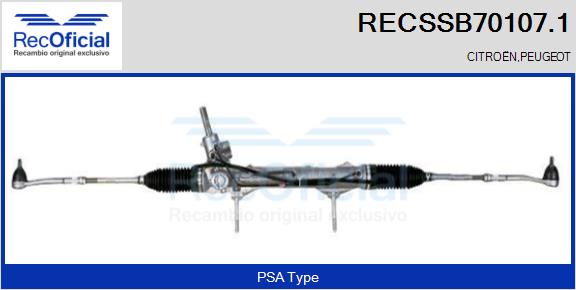 RECSSB70107.1