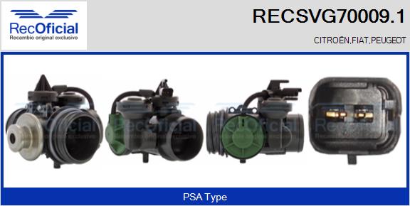 RECSVG70009.1