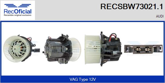 RECSBW73021.1