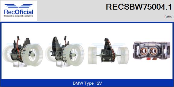 RECSBW75004.1